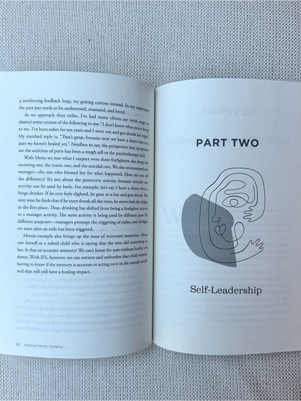 No Bad Parts by Richard C. Schwartz - Picture 3 of 3
